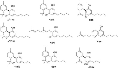 OTHER CANNABINOIDS IN HEMP (BESIDES CBD) THAT YOU SHOULD KNOW ABOUT